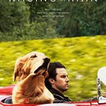 The Art of Racing in the Rain (2019) Full Movie Download