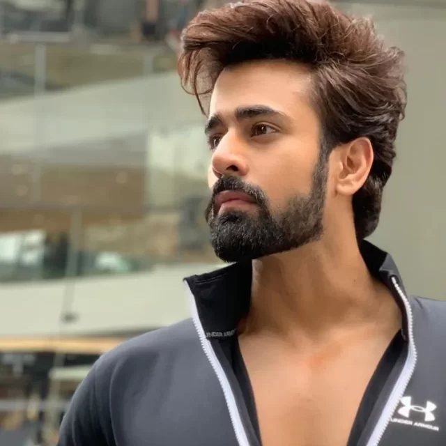 Pearl V Puri Biography: TV Shows, Age, Images, Net Worth, Instagram, Songs, Girlfriend, News, Birthday, Phone Number, Serials, Wikipedia 2