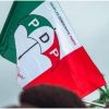 PDP: We’ll not discuss party’s chairmanship at NEC meeting – Caucus