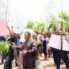 Protesters seek enforcement of Benue’s anti-open grazing law